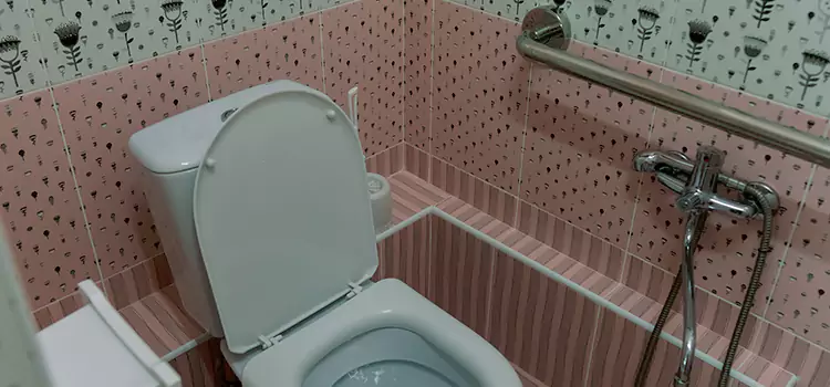 Meeting Diverse Needs With Accessible Restroom Solutions in South San Jose Hills, CA